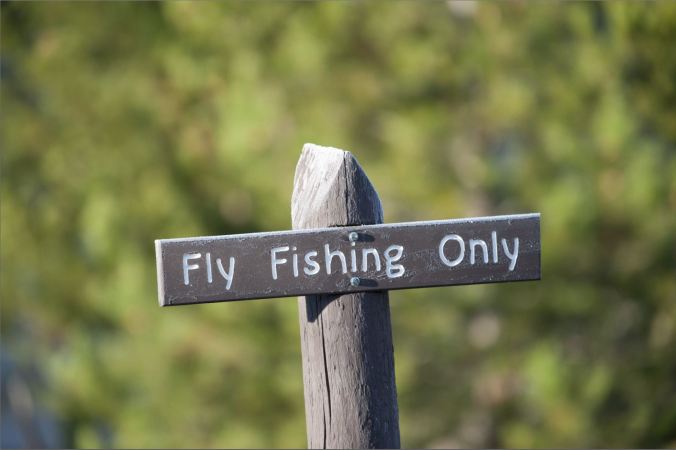 FLY-FISHING